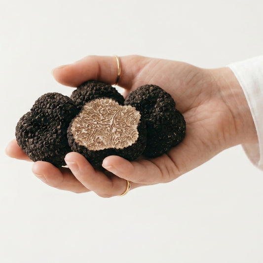 Tartufo Nero Estivo (Scorzone)