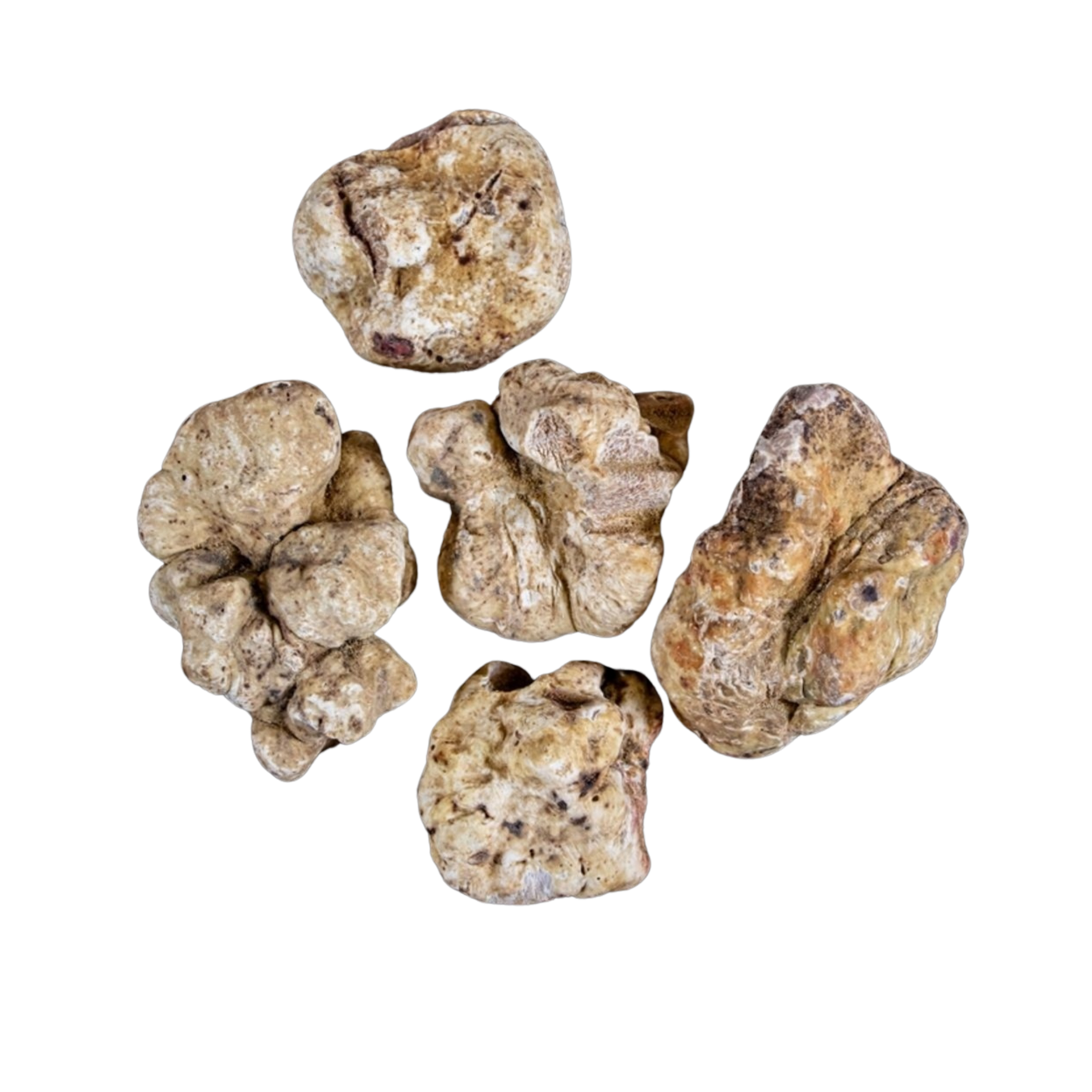 Tartufo Bianco pregiato Italiano