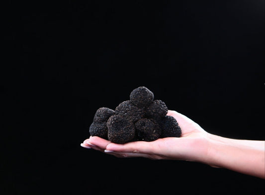 Tartufo Nero Estivo Scorzone Italiano